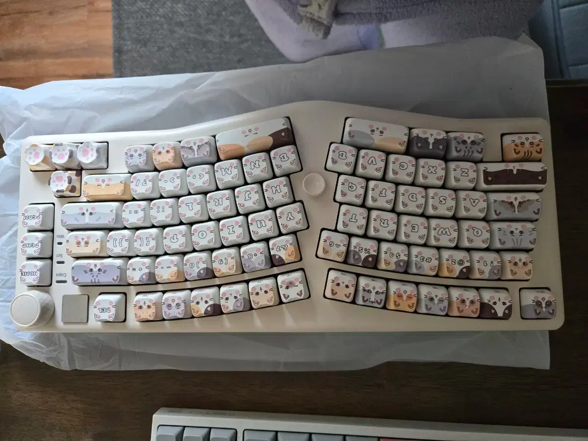 thumbnail-1